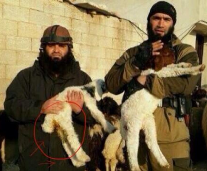Abu Waheeb likes his sheep young